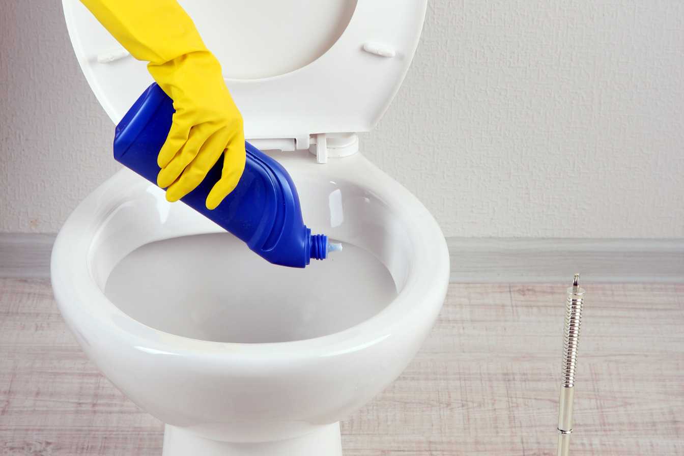 vers-toilette-3